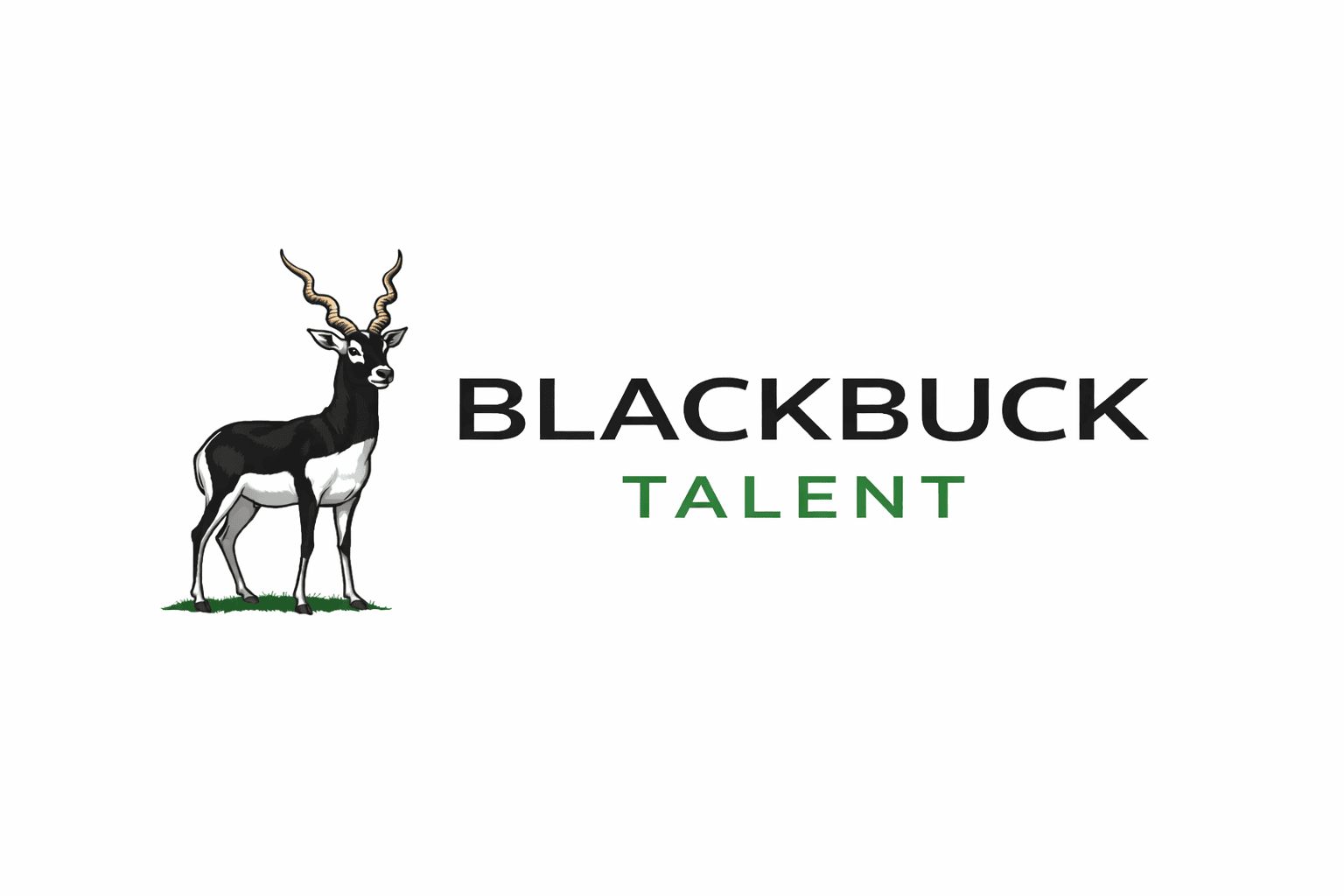 Blackbuck Talent